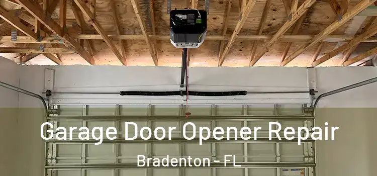  Garage Door Opener Repair Bradenton - FL