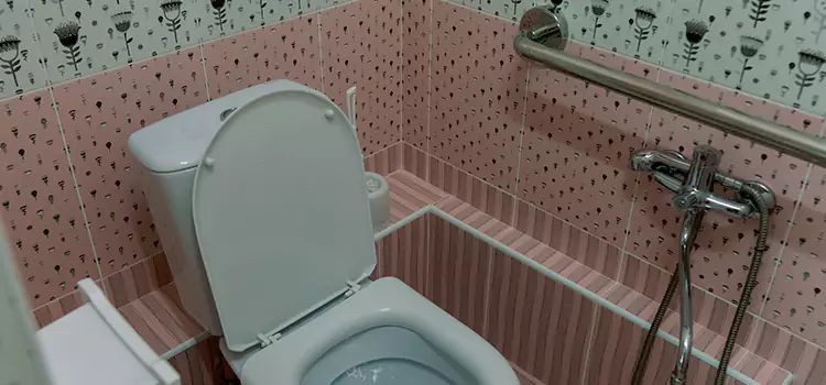 Meeting Diverse Needs With Accessible Restroom Solutions in Bradenton, FL